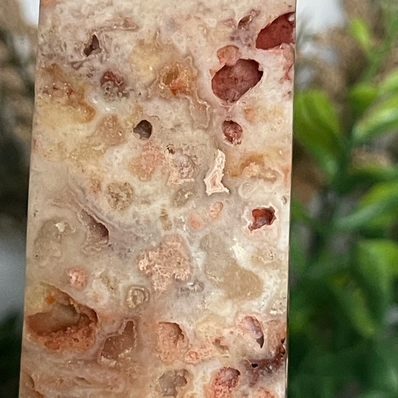 Crazy Lace Tower 4.3” - Picture 10 of 11